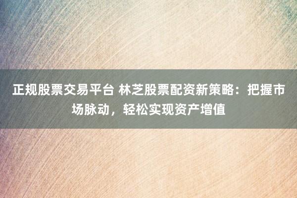 正规股票交易平台 林芝股票配资新策略：把握市场脉动，轻松实现资产增值