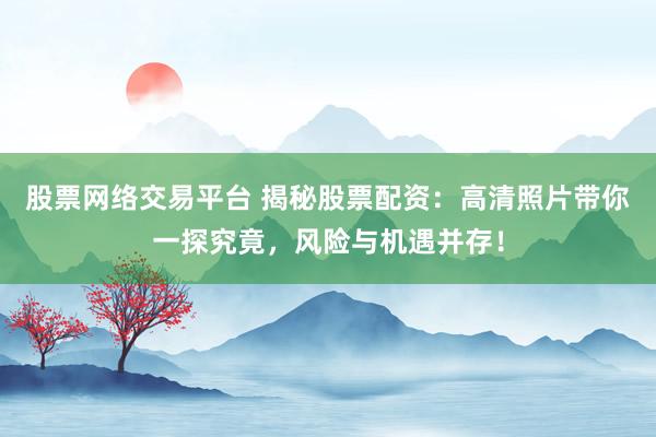 股票网络交易平台 揭秘股票配资：高清照片带你一探究竟，风险与机遇并存！
