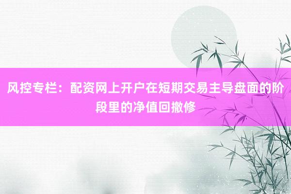 风控专栏：配资网上开户在短期交易主导盘面的阶段里的净值回撤修