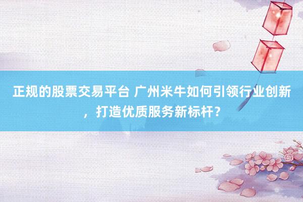 正规的股票交易平台 广州米牛如何引领行业创新，打造优质服务新标杆？