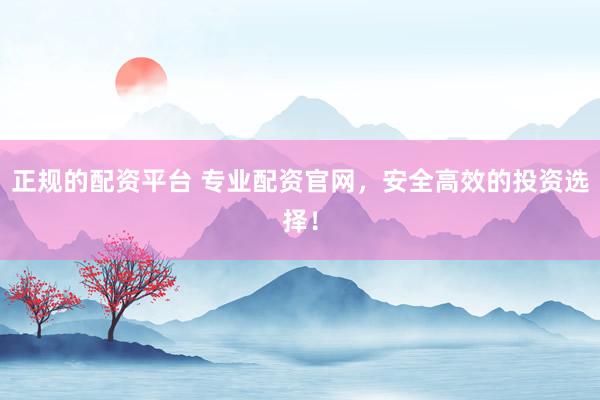 正规的配资平台 专业配资官网，安全高效的投资选择！