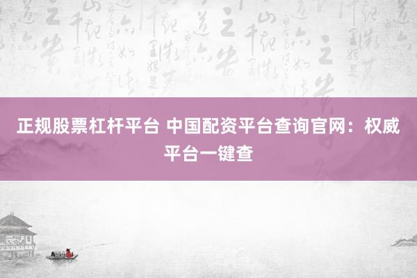 正规股票杠杆平台 中国配资平台查询官网：权威平台一键查